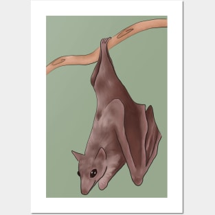 Egyptian Fruit Bat Posters and Art